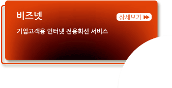 비즈넷-기업고객용 인터넷 전용회선 서비스