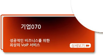 기업 070 - 성공적인 비즈니스를 위한 최상의 VoIP서비스